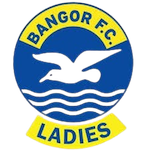 fixture?.visitorTeam?.name