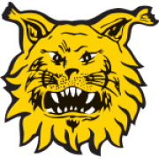Ilves